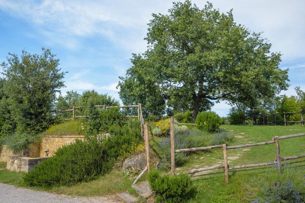 פיינצה Agriturismo Cerreto מראה חיצוני תמונה