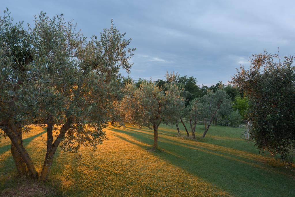 פיינצה Agriturismo Cerreto מראה חיצוני תמונה